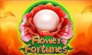 FLOWER FORTUNES