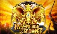 INVINCIBLE ELEPHANT