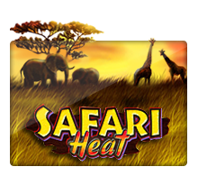 SAFARI LIFE